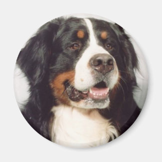 Dog Magneet