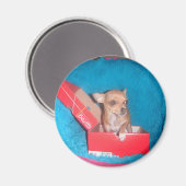 Dog magnet magneet (Voorkant / Achterkant)
