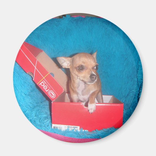 Dog magnet magneet (Voorkant)