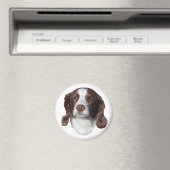 Dog magnet magneet (Insitu (Vaatwasser))