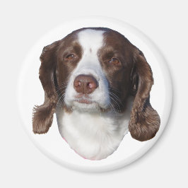 Dog magnet magneet