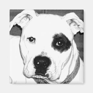 Dog Magnet Magneet