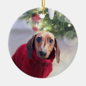 Dog Memorial Ceramic Ornament (Voorkant)