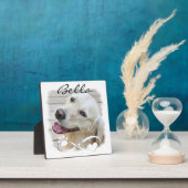 Dog Memorial Foto Paw Heart Infinity Keepomwille Fotoplaat (Insitu)