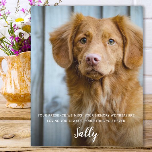 Dog Memorial Gift- Pet Loss Keepomwille- Dog Sympa Fotoplaat