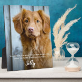Dog Memorial Gift- Pet Loss Keepomwille- Dog Sympa Fotoplaat (Zijkant)