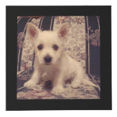 Dog Memorial Keepomwille Foto Kubus (Voorkant)