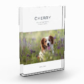 Dog Memorial Pet Loss Fotoblokken (Links)