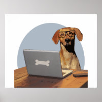Dog met bril op computer en bureau