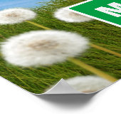 Dog met Dandelion Poster (Hoek)