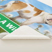 Dog met Dandelion Sherpa Deken (3/4)