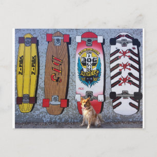 Dog met de muurschildering van het skateboard van briefkaart