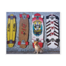 Dog met de muurschildering van het skateboard van