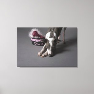 Dog met diva bowl, snuffelvloer canvas afdruk