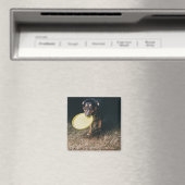 Dog met Frisbee in de mond Magneet (Insitu (Vaatwasser))