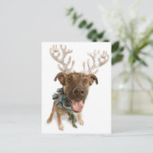 Dog met geweien briefkaart (Staand voorkant)