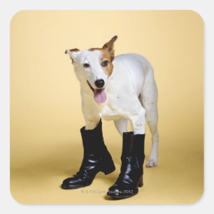 Dog met laarzen vierkante sticker