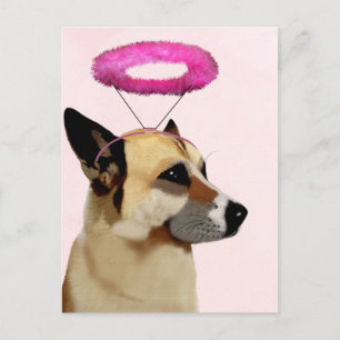 Dog met roze halo briefkaart