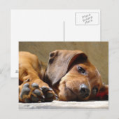 Dog mist je briefkaart (Voorkant / Achterkant)