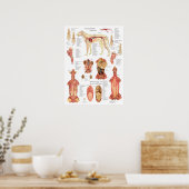 Dog Muscles Arteries Anatomy Chart Poster (Keuken)