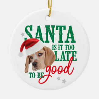 Dog Naughty of Nice Ornament