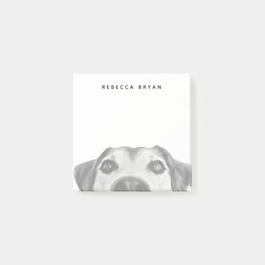 Dog Nose-foto Sniffing Post-it® Notes (Voorkant)