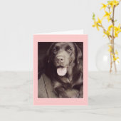 Dog Note Card voor Black and White Labrador Retrie Kaart (Gele Bloem)