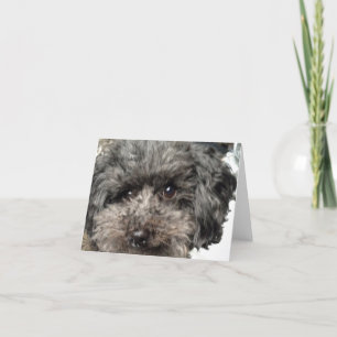 Dog Note Card voor familie Kaart