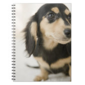 Dog Notitieboek (Voorkant)