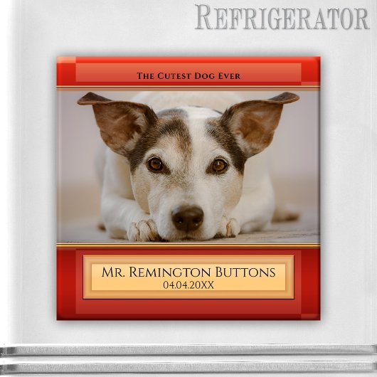 Dog of Cat Keepomwille Memorial Custom Photo Magne Magneet