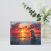 Dog on the Beach Watching the Sunset Briefkaart (Staand voorkant)