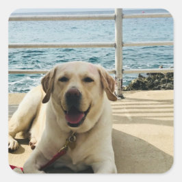 "Dog on the Dock" Labrador Dog Foto Sticker
