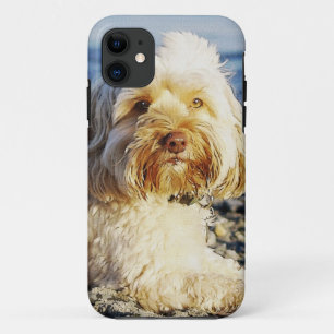 Dog-ontwerpen voor dichter- en dichter-liefhebbers iPhone 11 hoesje