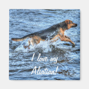 Dog-ontwerpen voor dichter- en dichter-liefhebbers magneet