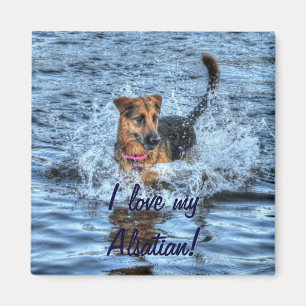 Dog-ontwerpen voor dichter- en dichter-liefhebbers magneet