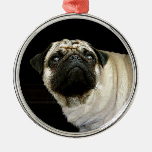 Dog-ontwerpen voor dichter- en dichter-liefhebbers metalen ornament