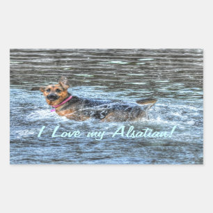 Dog-ontwerpen voor dichter- en dichter-liefhebbers rechthoekige sticker