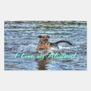 Dog-ontwerpen voor dichter- en dichter-liefhebbers rechthoekige sticker