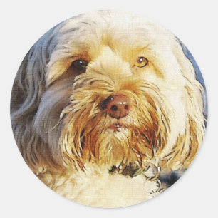 Dog-ontwerpen voor dichter- en dichter-liefhebbers ronde sticker