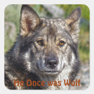 Dog-ontwerpen voor dichter- en dichter-liefhebbers vierkante sticker