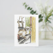 Dog op Briefkaarten met een sofa (Staand voorkant)