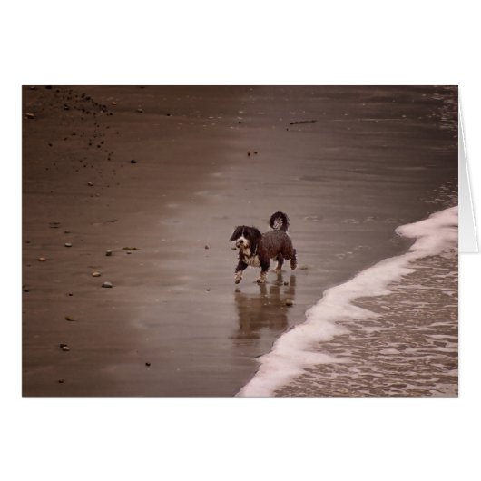 Dog op de Beach Sepia Toned Blank (Voorkant Horizontaal)