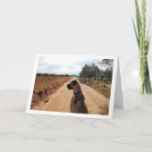 Dog op DustRoad Kaart (Voorkant)