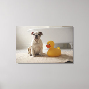 Dog op vlees met kunststofeend canvas afdruk