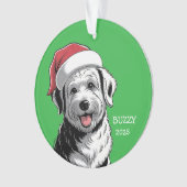 Dog Ornament (devant)