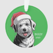 Dog Ornament (devant)