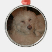 Dog Ornament (Voorkant)