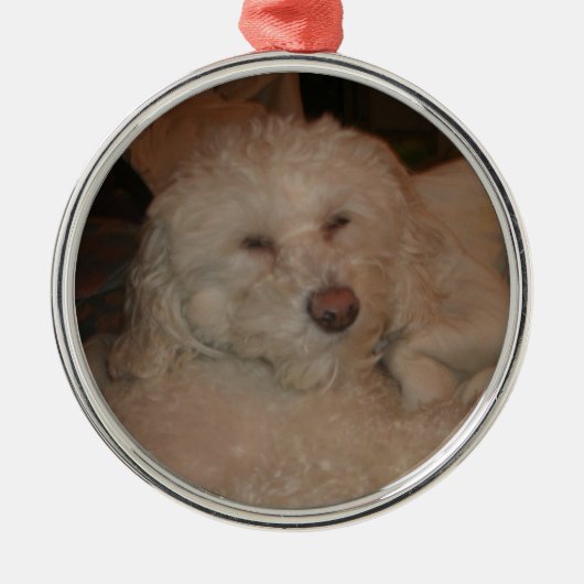 Dog Ornament (Voorkant)