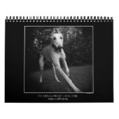 Dog park agenda 3 kalender (Hoes)