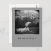 Dog Park Briefkaart 12 (Voorkant / Achterkant)